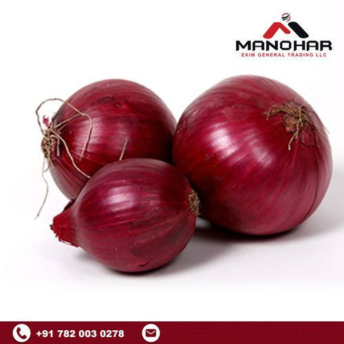 Red Fresh Nashik Onion