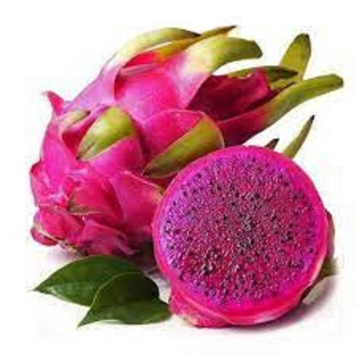 Dragon Fruit Plant - 600 Gram Whole, Organic Red Oval Antioxidant Powerhouse, Naturally Fat-Free, High Fiber, Prebiotic Rich