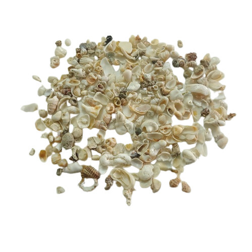 Natural Crushed Sea Shell And Mother Of Pearl Crushed Shell Chips At Best For Poultry Feed And Terrazzo  - Shelf Life: (when Stored In A Dry & Cool Place) 24 Months