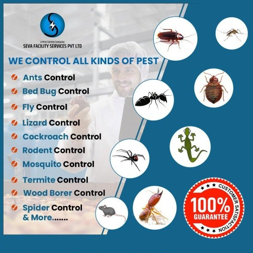 Cockroaches Pest Control Services