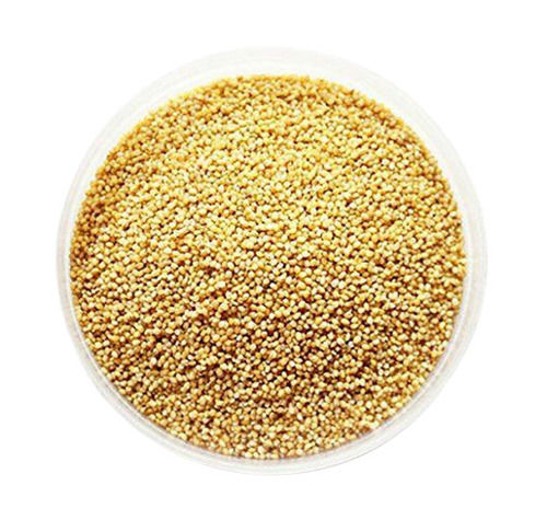 A Grade Commonly Cultivated Raw And Dried Foxtail Millet Granule