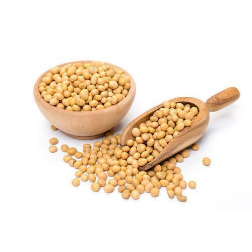 Light Beown High Protein Concentration With Healthy Benefits Dried Fresh And Pure Soya Bean