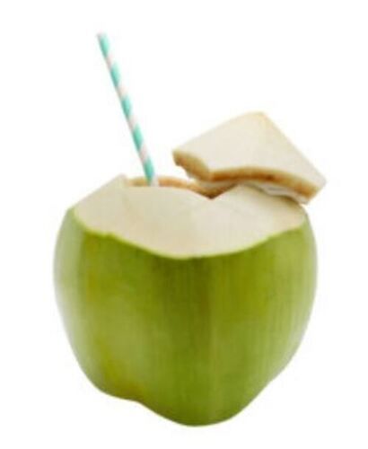 A Grade Pure And Fresh Sweet Coconut Water