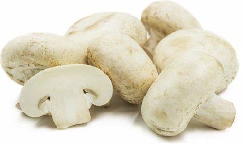 Naturally Grown Raw Round Shape Fresh White Mushroom Grade: A