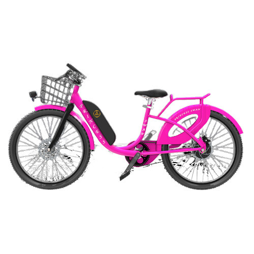 Princess Swan Ladies Electric Bicycle - Battery Capacity: 5.8 Ampere-Hour (Ah)
