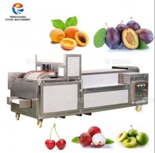 Automatic Apricots and Star Fruits Core removal machine