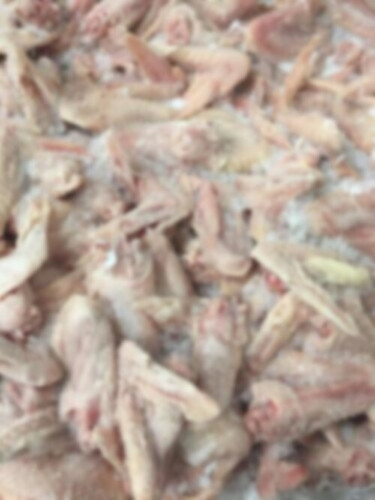 Frozen Chicken Paws - Premium Quality, 100% Fresh and Frozen, No Bruise or Blood, Moisture Less Than 3% | Private Labeling Available in 20 kg Polybag