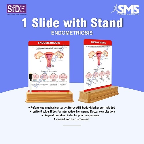Interactive Patient Education Chart - Durable ABS Plastic, Rectangular Shape with Marker Pen & Write & Wipe Slide for Effective Medical Consultations