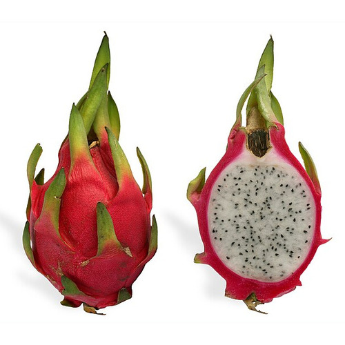 Dragon Fruit - Cultivation Type: Organic