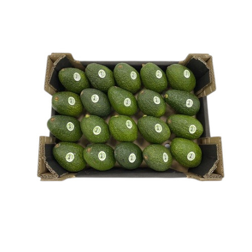 Green Fresh Avocado Variety Hass