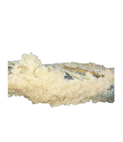 Creamy Tallow - Color: Cream