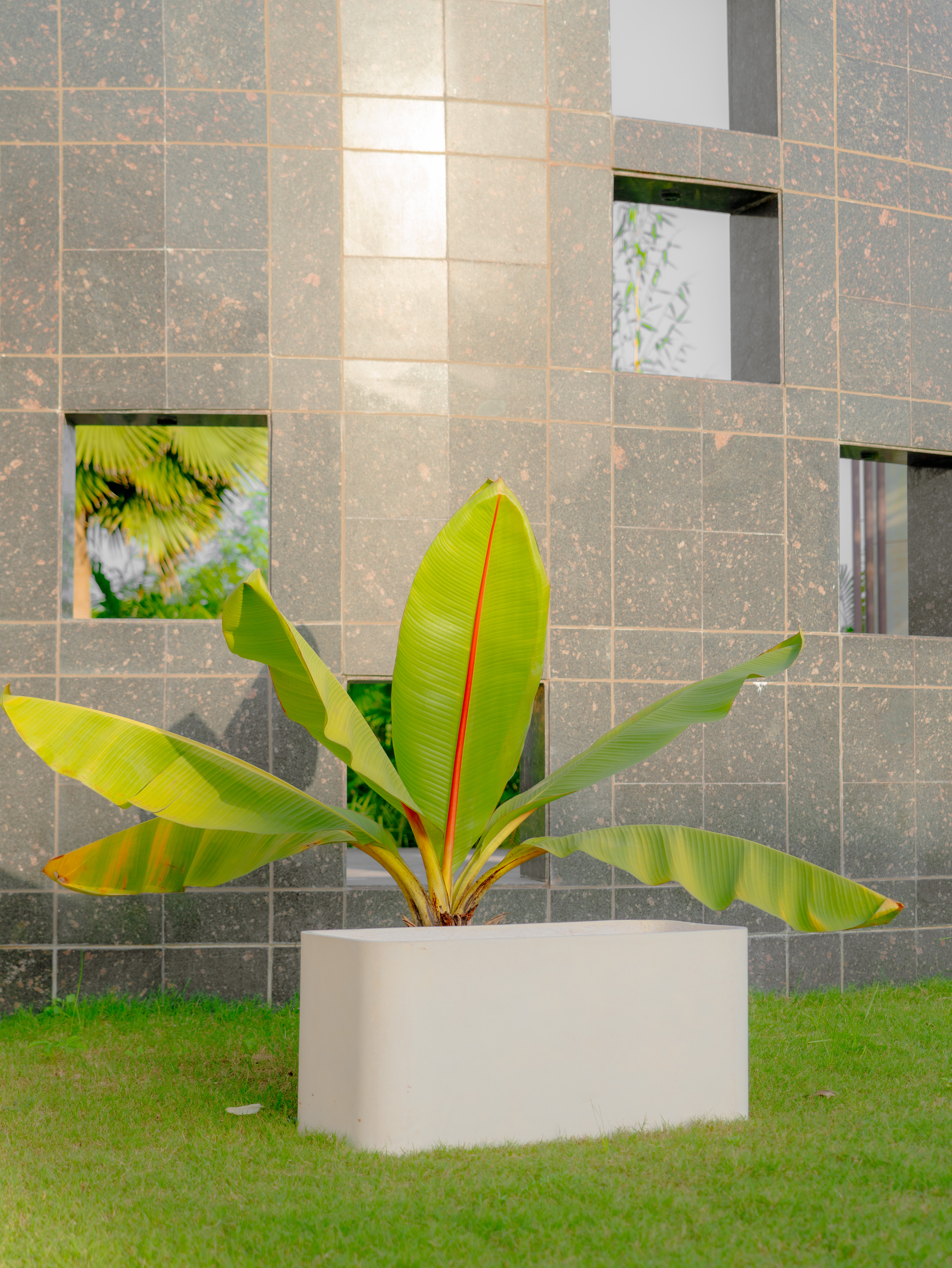 Gfrc And Gfrp Planter - Color: White