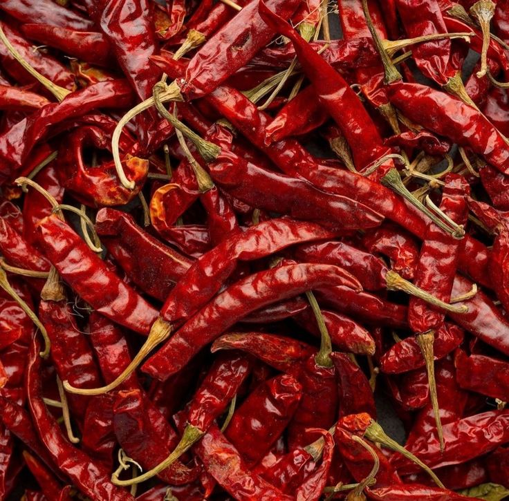 Premium Dry Red Chilli - Cultivation Type: Common