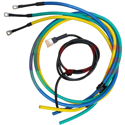 e rickshaw wiring harness