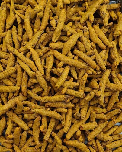 Erode Turmeric Finger - Color: Yellow