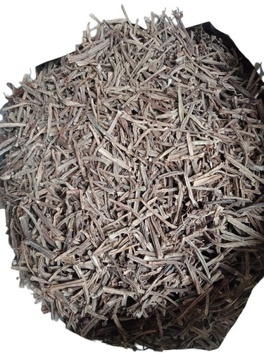 Cissus Quadrangularis (Pirandai / Hadjod) - Advantage: No Side Effects