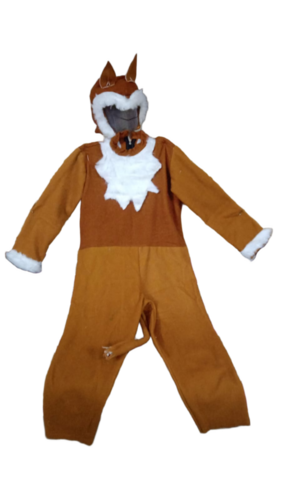 Kids Fox Costume