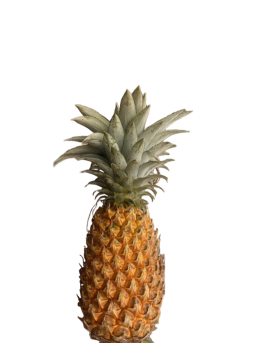 Fresh Pineapple Fruit - Color: Yellow