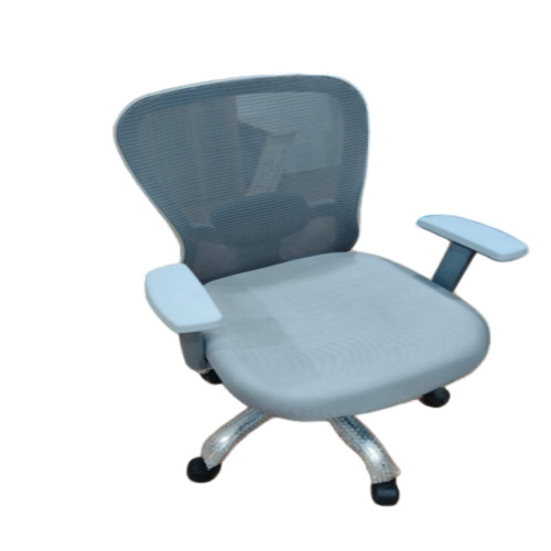 Grey Low Back Mesh Executive Office Chair - Assembly: No Assembly Required