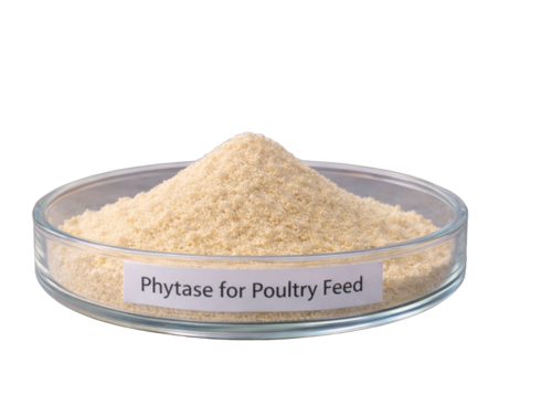 Phytase for Poultry Feed - Light Brown Color, 24 Months Shelf Life | Feed Additive Enhancing Nutrient Digestibility and Feed Conversion