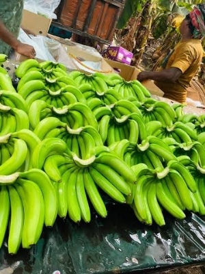 Fresh Banana