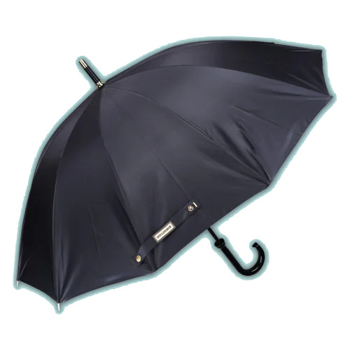 Two Fold Umbrella