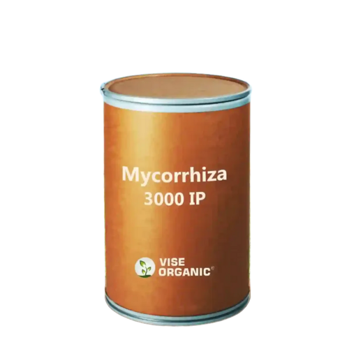 Mycorrhiza 3000 Ip Plant Growth Promoter - Application: Agriculture