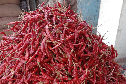 Lavangi dry red chilli