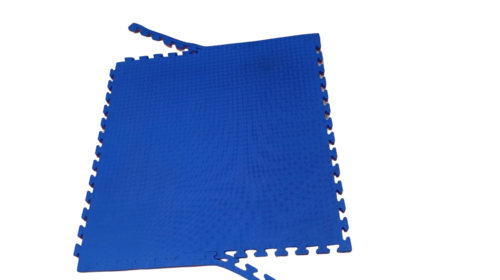 Kabbadi And Judo Mat