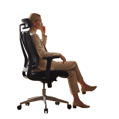 Aqua X Ergonomic Chair - Application: Offices