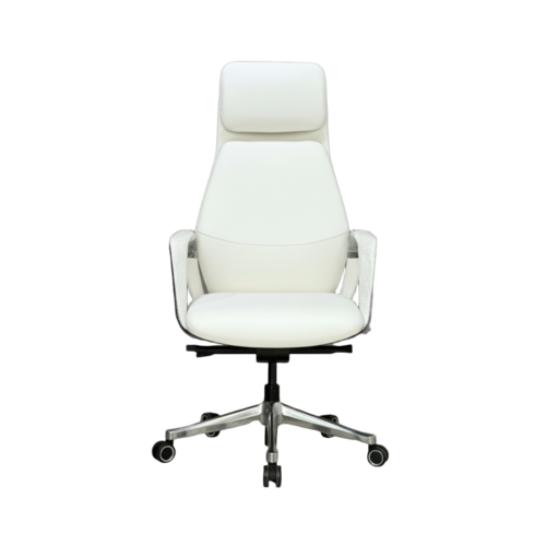 B&D Boat Ultra Luxury Chair