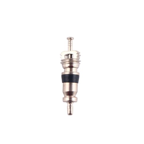 Tyre Valve Core Inside Spring 9001