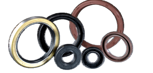 Oil Seal