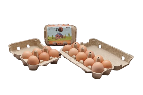 Brown Eggs - Egg Origin: Chicken