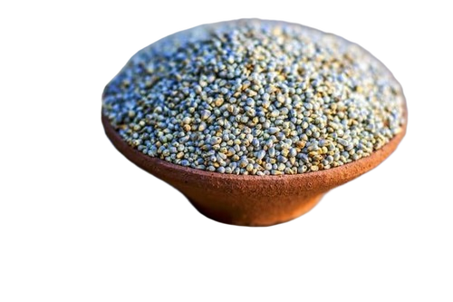 Pearl Millet - Admixture (%): 0