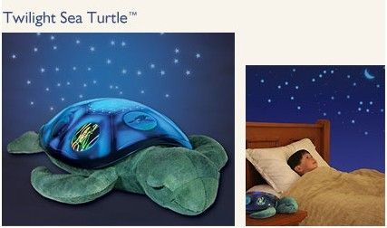 Twilight Turtle