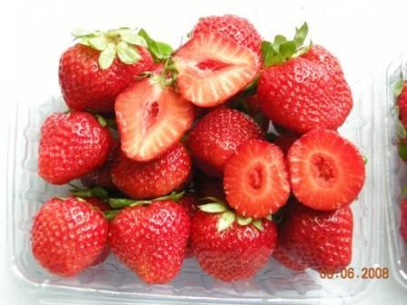 IQF Strawberry or Frozen Strawberry