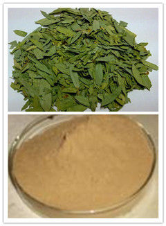 Senna Leaf Extract Sennosides 4%, 8%, 10%, 20% HPLC