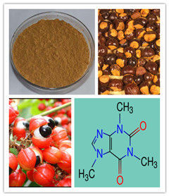 Guarana Seed Extract