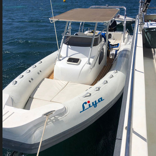 Liya 27ft Cabin Rib Boat with Maximum Loading Capacity of 1700kg