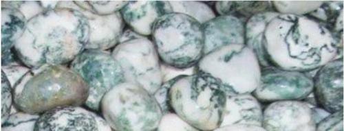 Tree Agate Tumbled Stone