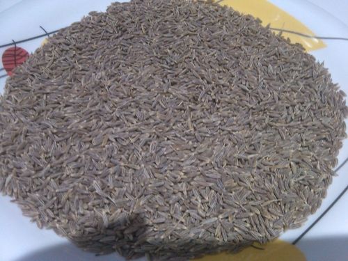 Singapore Cumin Seed 98%