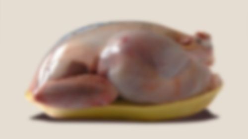 Fresh Frozen Chicken - High-Quality All-Part Meat | Long Shelf Life, Excellent Aroma, Ultra-Modern Processing