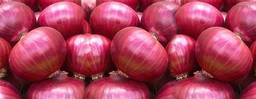 Fresh and Healthy Red Onion