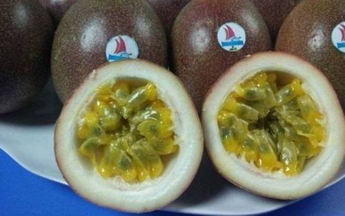 Nutritious And Tasty Passion Fruit