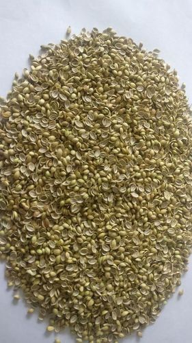 Green Top Quality Split Coriander Seed