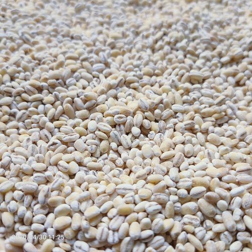 High Grade Pearl Barley