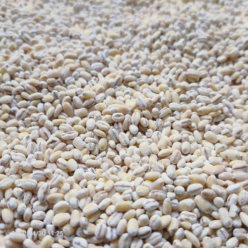 White High Grade Pearl Barley