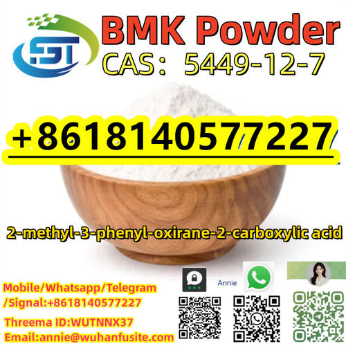 99% Purity Glycidic Acid (Sodium Salt) BMK Chemical CAS 5449-12-7 White Crystal Type