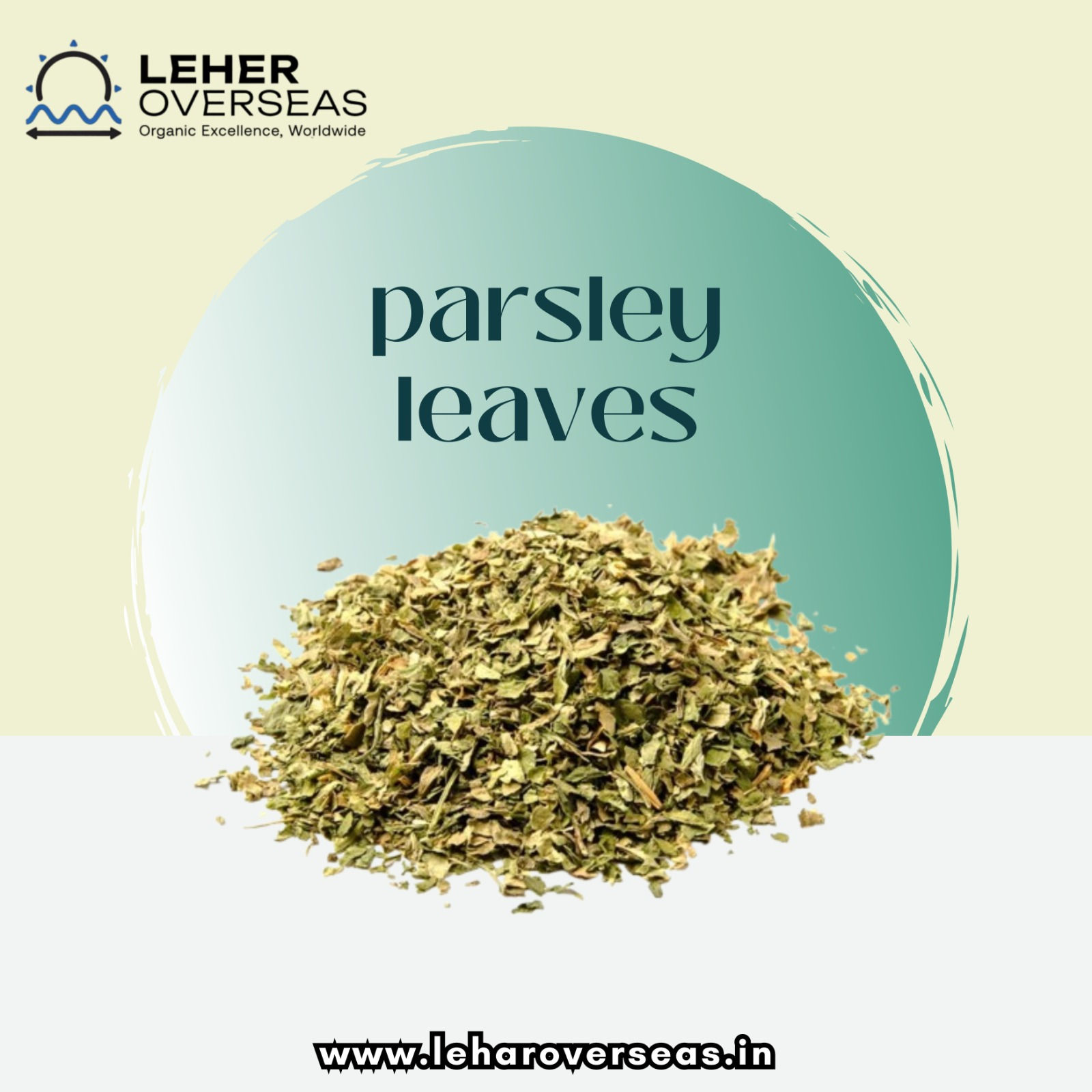 Dry Parsley Leave - Shelf Life: 2 Years